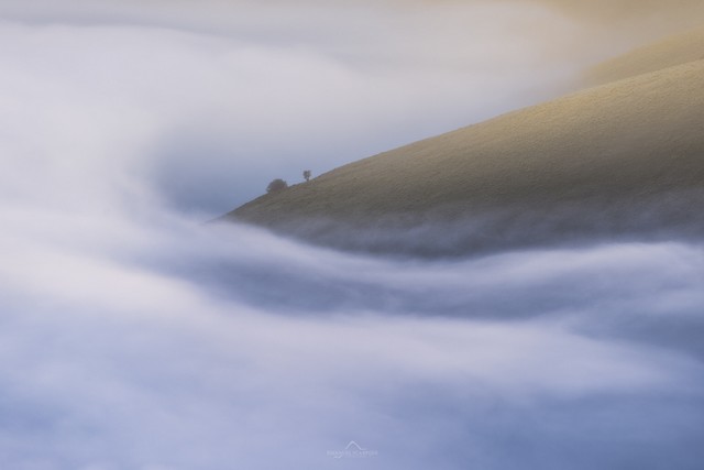 Castelluccio Nebbia albero.jpg